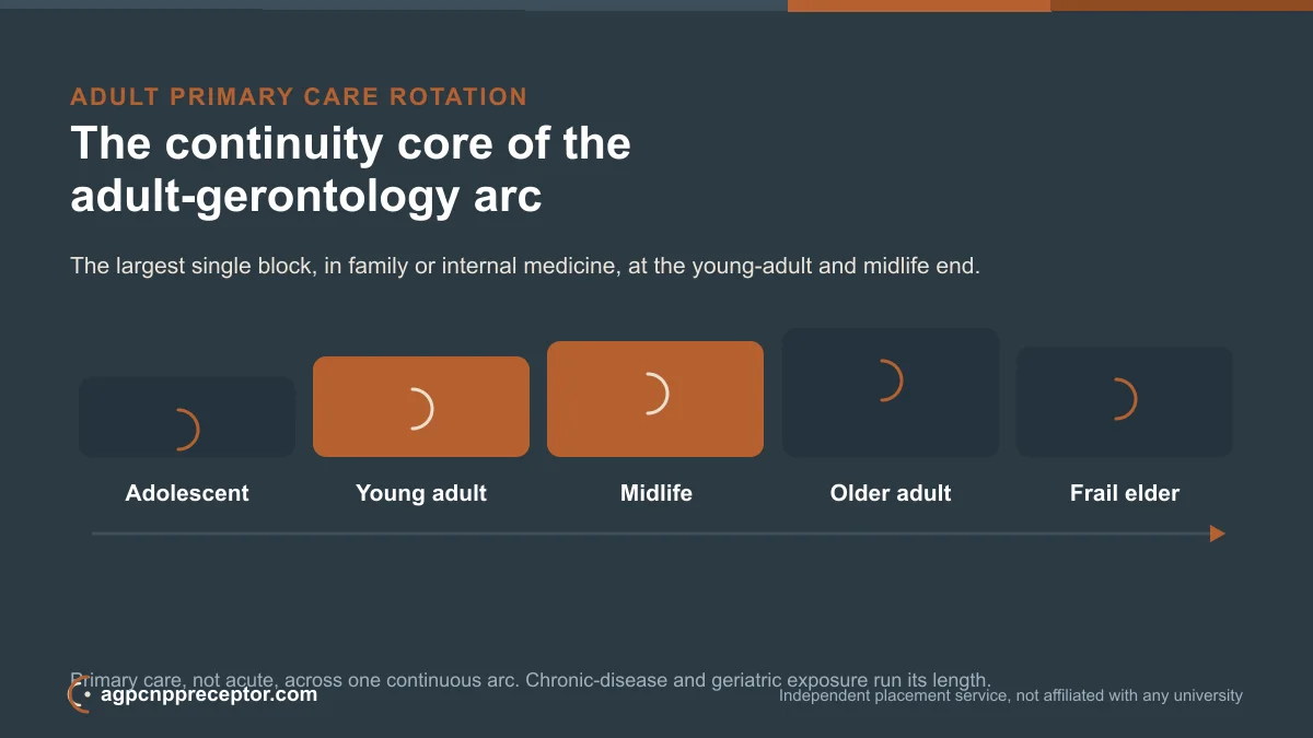 Continuum diagram of the AGPCNP arc with the adult primary care rotation highlighted at the young-adult and midlife stages